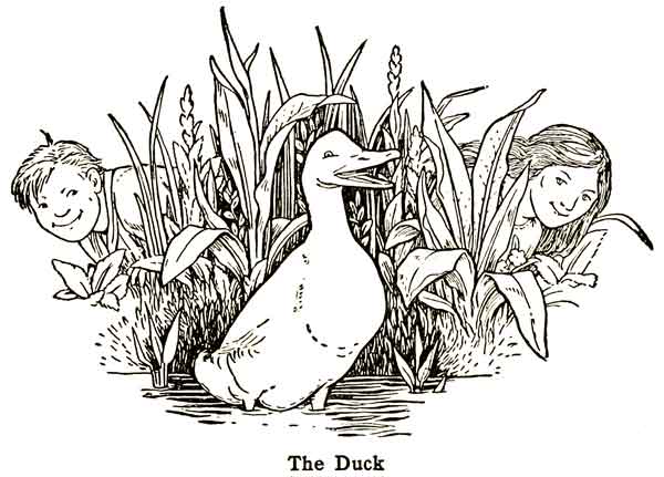 The Happy Duck - ReusableArt.com